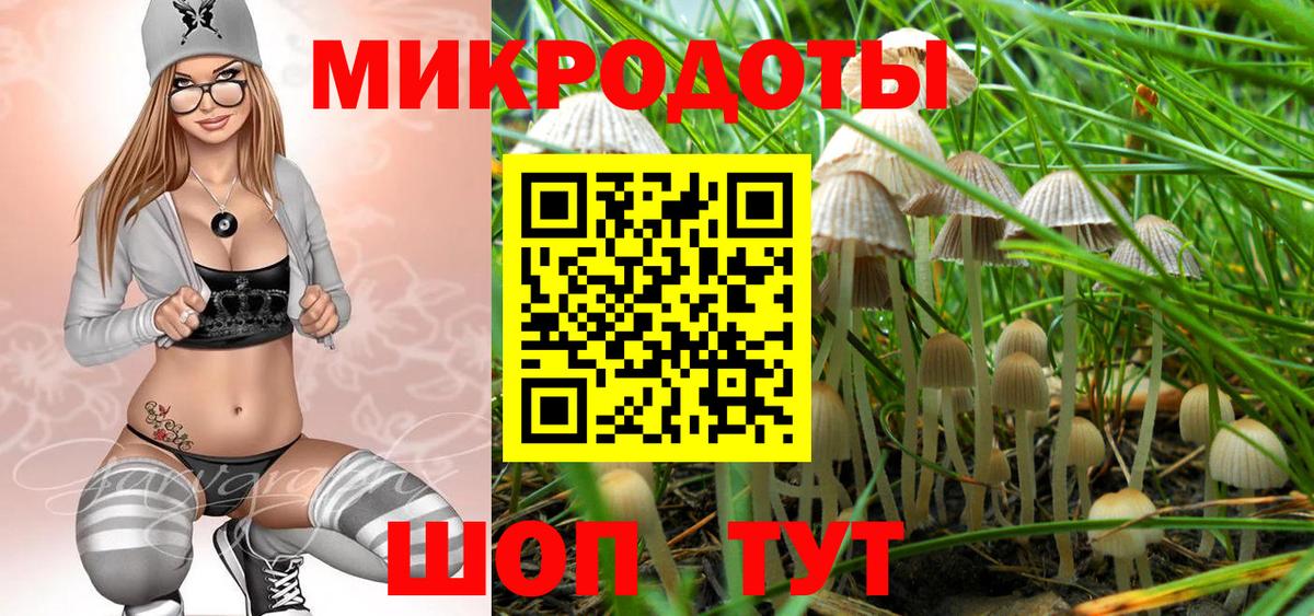 Псилоцибиновые грибы Psilocybine cubensis Златоуст