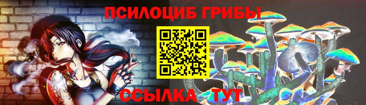 купить  сайты  Вход с VPN  Златоуст  Галлюциногенные грибы Psilocybe  Псилоцибиновые грибы Psilocybine cubensis 